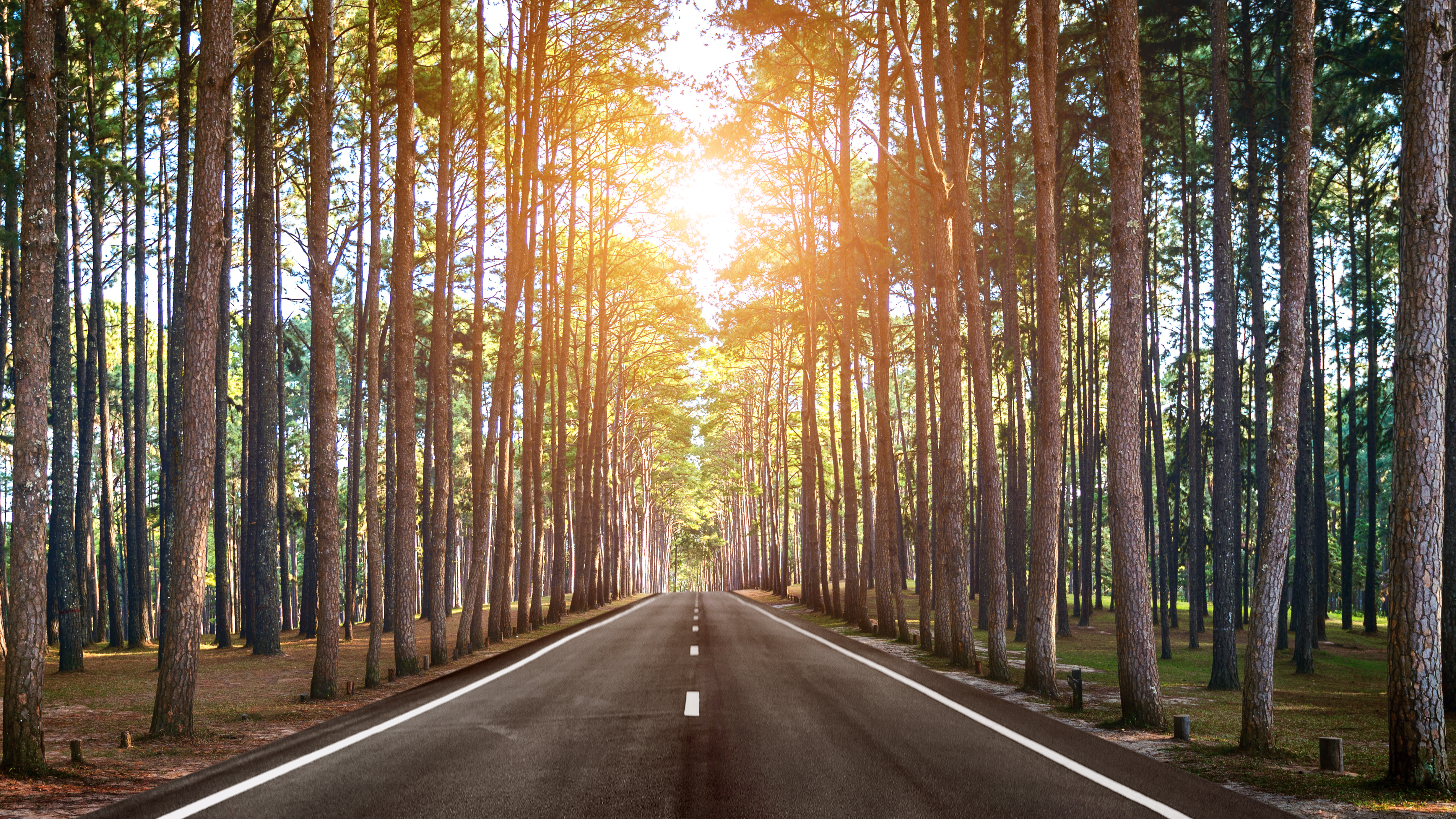 Weekly Motor Insurance News
